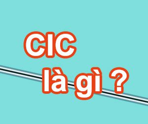 cic la gi